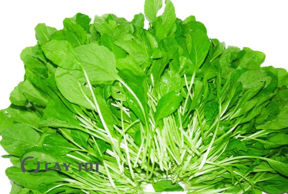 Hạt Giống Cải Lá Non