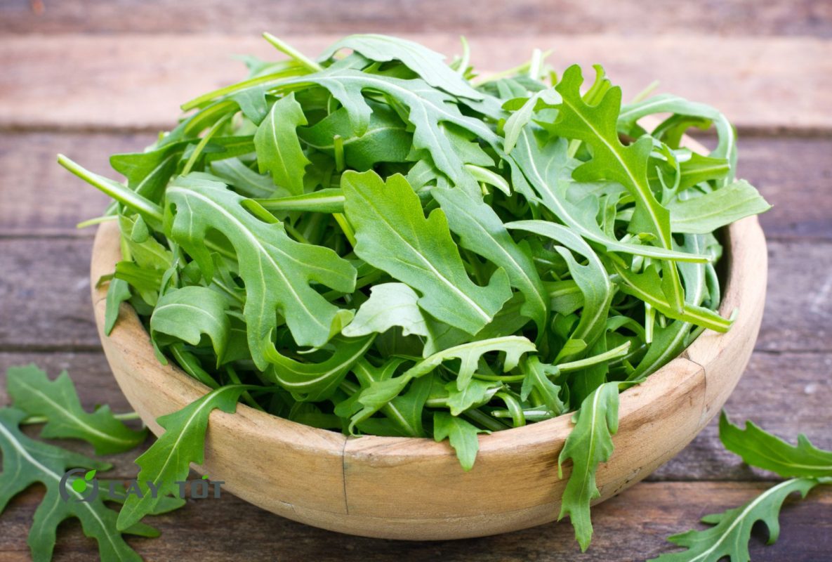 Hạt Giống Rau Cải Lông