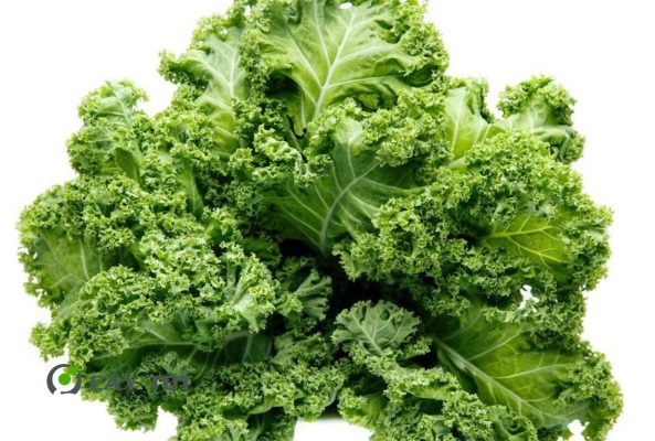 Hạt Giống Cải Xoăn Hàn Quốc