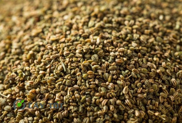 Hạt Giống Rau Cần Thơm