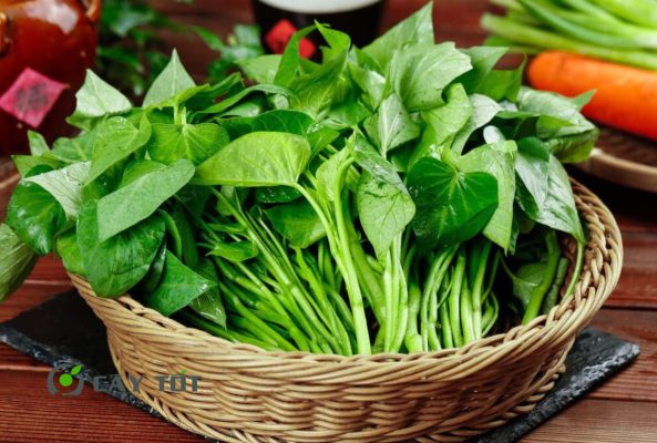 Hạt Giống Rau Lang