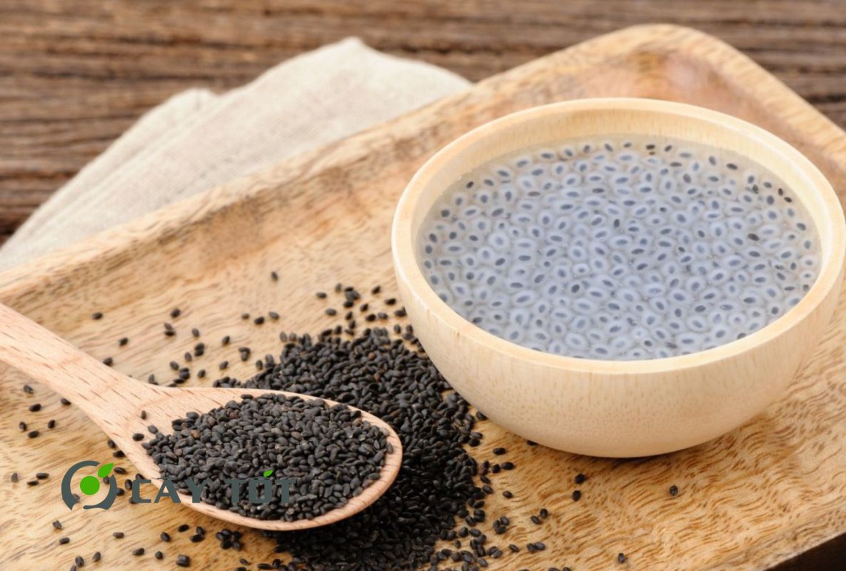 Hạt Giống Rau Thơm Quế Tím