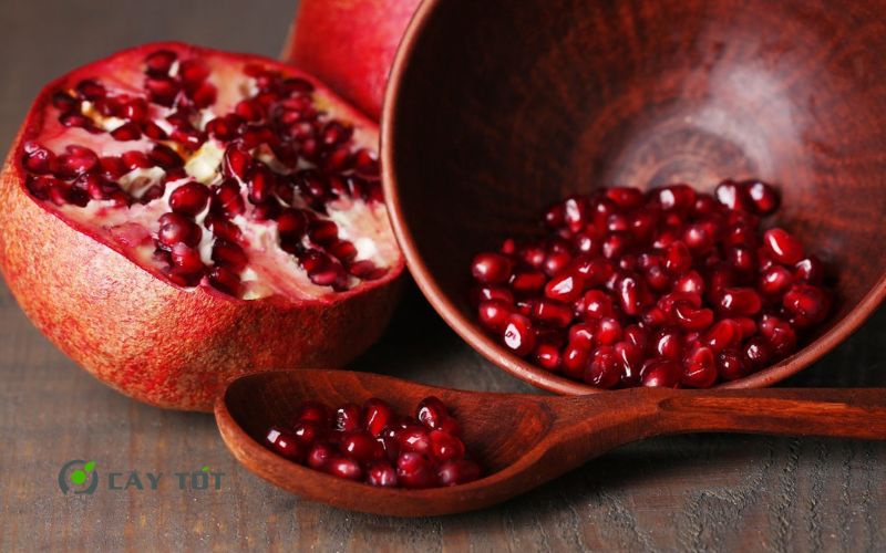 Cây Lựu Đỏ Lùn Ai Cập